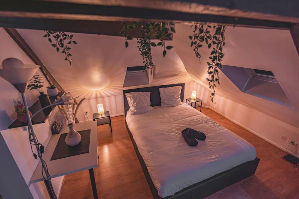 Lalique 540 Hypercentre Apartman Reims Kültér fotó