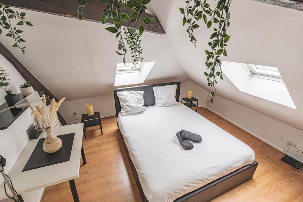 Lalique 540 Hypercentre Apartman Reims Kültér fotó